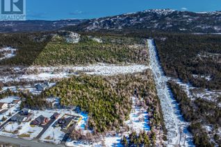 Commercial Land for Sale, 83c Salmonier Line, Holyrood, NL