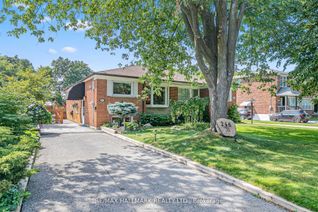 Bungalow for Rent, 246 Zelda Cres #Bsmnt, Richmond Hill, ON