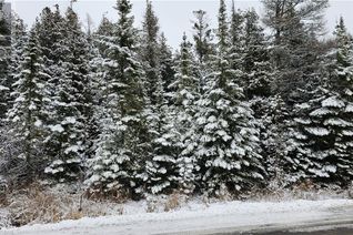 Land for Sale, Pt Lt 24 Spry Shore Road, Northern Bruce Peninsula, ON