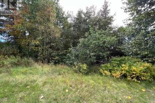 Land for Sale, 5243 Keith Avenue, Terrace, BC