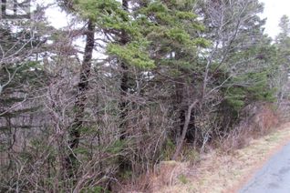 Commercial Land for Sale, 19-23 Bally Hack Road, Avondale, NL