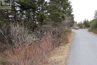 Commercial Land for Sale, 15-17 Bally Hack Road, Avondale, NL