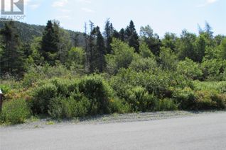 Commercial Land for Sale, 111 - 117 Mountain View Road, Conception Bay South, NL
