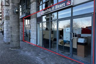 Commercial/Retail Property for Lease, 19 Dallas Rd #102, Victoria, BC