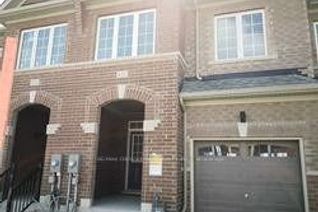 Freehold Townhouse for Rent, 135 Knott End Cres, Newmarket, ON