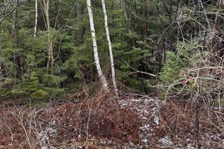 Commercial Land for Sale, 1a Pine Hill Drive, Gaetz Brook, NS