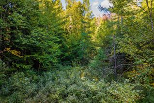 Vacant Residential Land for Sale, 0 Axe Lake Rd, McMurrich/Monteith, ON