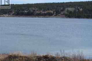 Land for Sale, 33 Cove Road, Colliers, NL