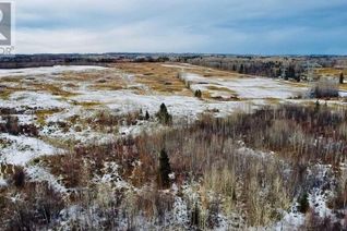 Land for Sale, On Township 444, Rural Ponoka County, AB