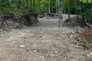 Commercial Land for Sale, Lot 2 Bass Lake Rd, Galway-Cavendish and Harvey, ON