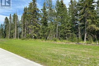 Land for Sale, On 54 Street, Rocky Mountain House, AB