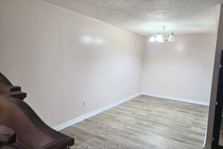 Bungalow for Rent, 17 Seaborn Rd, Brampton, ON