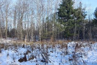 Vacant Residential Land for Sale, 46 Forest St, Parry Sound, ON