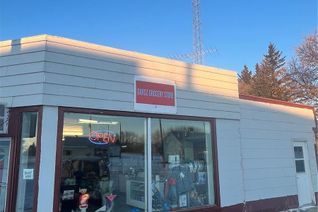 Commercial/Retail Property for Sale, 118 Main Street, Lintlaw, SK