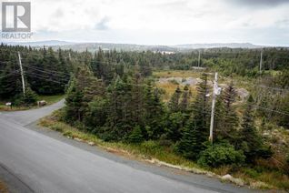 Commercial Land for Sale, 245-247 Olivers Pond Road, Portugal Cove, NL