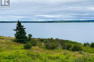 Land for Sale, 0 Anthonys Road, Spaniards Bay, NL