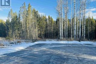 Commercial Land for Sale, 1170 Fowler Place, Valemount, BC