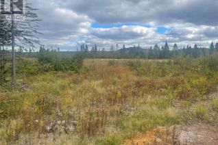 Commercial Land for Sale, 136333 Peter's Pond, Botwood, NL