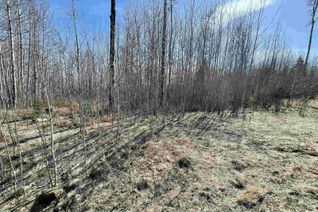 Land for Sale, 22 Village West, Rural Wetaskiwin County, AB