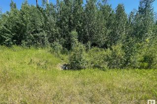 Commercial Land for Sale, 22 Village West, Rural Wetaskiwin County, AB