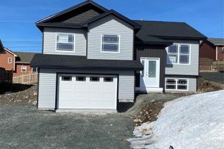 Detached House for Sale, 14 Heidi Crescent, Conception Bay South, NL