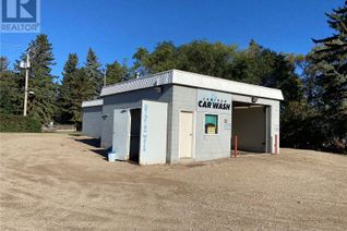 Business for Sale, 54 Main Street, Lanigan, SK