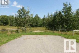 Commercial Land for Sale, 40, 26555 Twp 481, Calmar, AB