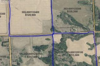 Commercial Farm for Sale, Strelioff Land, Norquay, SK