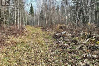 Commercial Land for Sale, Lot 1 Mcconachie Creek Road, Fort Nelson, BC