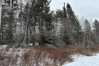 Property for Sale, Lot 10 Highway 376, Durham, NS