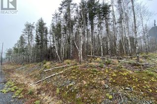 Land for Sale, Discovery Crescent, Ardoise, NS