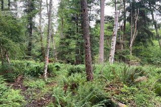 Property for Sale, Lot A Wilfred Rd, Black Creek, BC