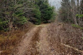 Commercial Land for Sale, Upper Brian Street, East Preston, NS