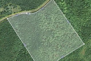 Property for Sale, Salmon River Road, Enon, NS