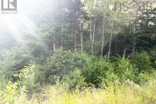 Commercial Land for Sale, Highway 19, Troy, NS