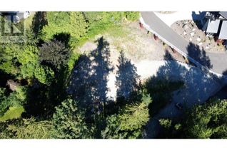 Commercial Land for Sale, 12305 270 Street, Maple Ridge, BC