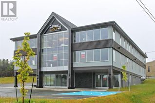 Commercial/Retail Property for Lease, 38 Duffy Place #102, St. John's, NL