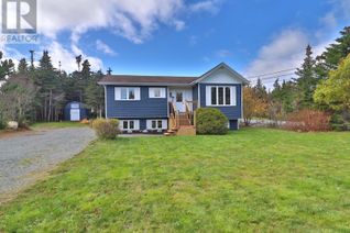 Detached House for Sale, 114 Dogberry Hill Road Extension, St. Philips, NL