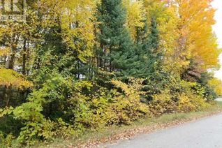 Commercial Land for Sale, 20 Pine Forest Drive, Hepworth, ON
