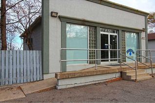 Commercial/Retail Property for Sale, 4817 King Street, Beamsville, ON