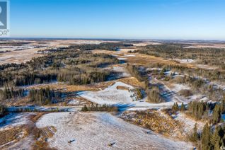 Commercial Land for Sale, Lato Road Acreage Lot, Buckland Rm No. 491, SK