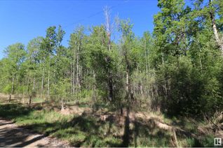 Land for Sale, 404 54411 Rge Rd 40, Rural Lac Ste. Anne County, AB