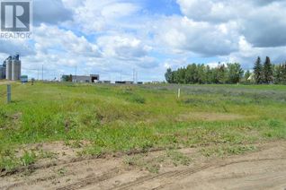 Commercial Land for Sale, 5502 54 Avenue, Viking, AB