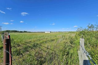 Land for Sale, 48011b Range Road 60, Rural Brazeau County, AB