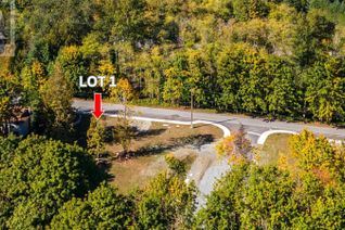 Land for Sale, Lot 1 Elk Rd #Proposed, Lake Cowichan, BC