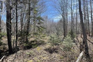 Land for Sale, Lot 2 Jordantown Cross Road, Conway, NS