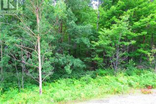 Land for Sale, 0 Highway 17 Highway, Head, Clara and Maria, ON