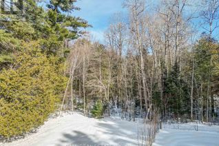 Commercial Land for Sale, 0 Part Lot 8 Con 3 S, Madawaska Valley, ON