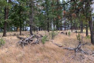 Vacant Residential Land for Sale, 1519 Mount Royal Ridge, Cranbrook, BC