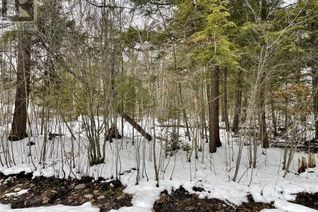 Commercial Land for Sale, Lot 454 Seguin Crescent, Tiny, ON